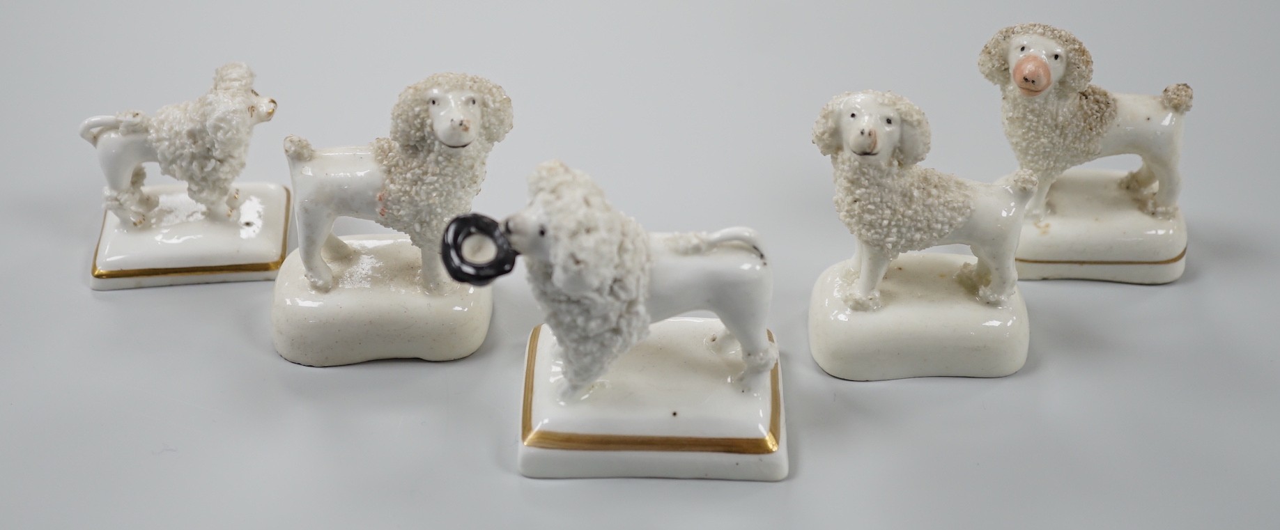 Five small Staffordshire models of poodles standing on their bases, to include a Lloyd Shelton white poodle with black muzzle, and a Lloyd Shelton white poodle with flicked tail (5), c.1830-50. Tallest 6cm, Cf. Dennis G.